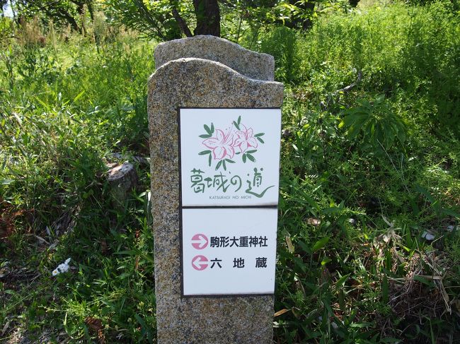 本当に葛城の道を歩いているか不安になる頃、この案内板が出てくるので、迷う心配はほとんどなかったです。<br /><br />（でも時には迷った）