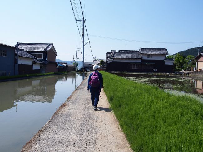 道の両脇に貯水池？かな？<br /><br />溢れそうに水が溜まっていました。