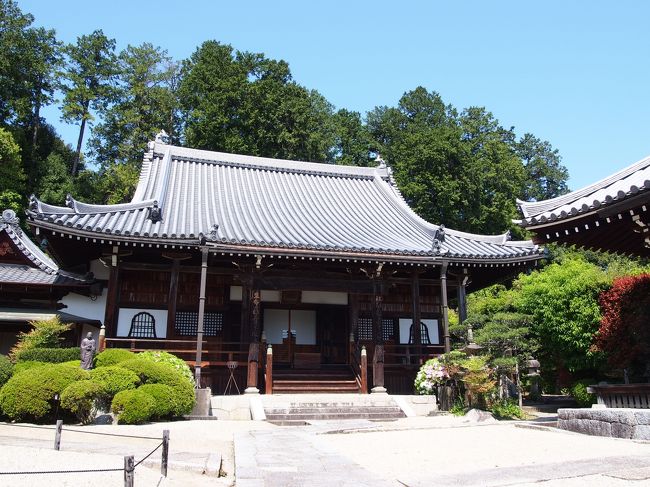 御所市のHPによると、九品寺は聖武天皇の詔りによって奈良時代の僧、行基が開基したお寺で、ご本尊は国の重要文化財になっているそうです。