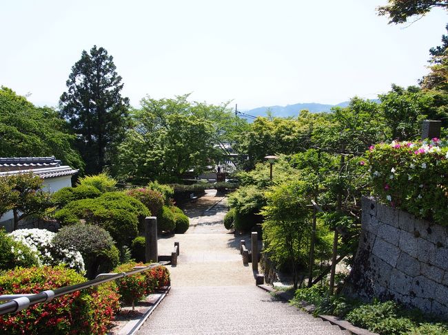 境内からの景色。