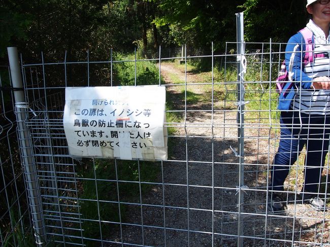 どうやら獣の侵入を防ぐためのものだったようです。<br /><br />あービックリ！