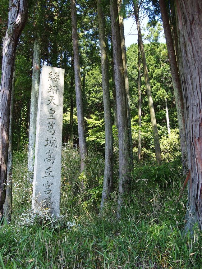 ドキドキしながら進むこと１分、碑を発見。<br /><br />え？<br /><br />まさかこれだけ？？<br /><br />ちょっとガッカリなポイント、綏靖天皇（すいぜいてんのう）葛城高丘宮跡。<br /><br />綏靖天皇は第二代天皇で、実在したかどうかは不明だそうです。