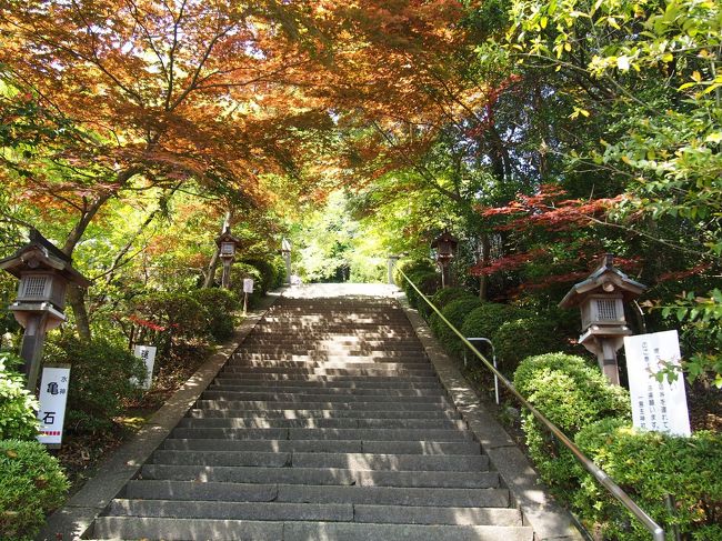 まだ春なのに紅葉している〜？！<br /><br />綺麗だなぁ<br /><br />でも木の枝からたくさん青虫がぶら下がっていて　ひえ〜〜！