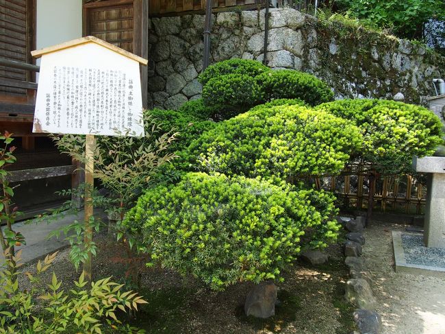 この辺りに土蜘蛛塚があるようで、探したら植木の影に！！<br /><br />分かり辛いよ〜<br /><br />至福の像の隣の植木下に土蜘蛛塚はありました。