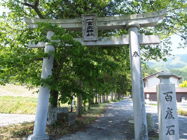 この鳥居、なんでこんな中途半端な位置に置かれたのかなぁ・・・