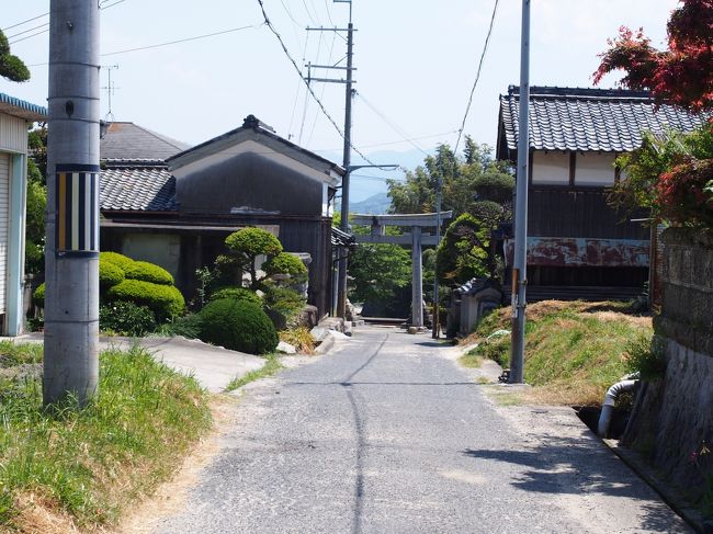 向こうにはもう一つ、大きい鳥居がありました。<br /><br />あれが一の鳥居かな。