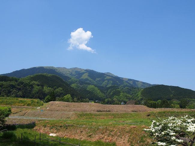 現在11時を過ぎたところ。<br /><br />まだ行程の３分の１くらいしか進めていません。<br /><br />暑いよ・・・