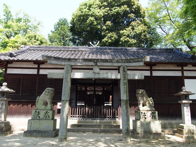 御所市のHPによりますと、姫の宮とも呼ばれ、『延喜式』神名帳に記載された由緒ある神社だそう。<br /><br />創建は1450年頃で、日本書紀には天武天皇がこの長柄神社で流鏑馬を楽しんだことが記されているそうな。<br /><br />お社の真ん前に鳥居が建っている変わった造りです。