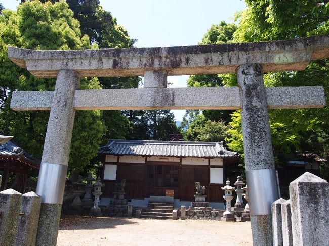 住吉神社。<br /><br />‘大阪の住吉大社の分霊を勧請して、白鳳年間に斉き奉った由緒ある古社である’<br /><br />と案内板にありました。