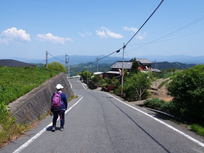 延々とだらだら坂を登ります。<br /><br />下っている訳じゃないですよ〜　<br />HAHAHA☆<br /><br />あまりに疲れたので、どうにか楽に登れる方法がないか考えた末、後ろ向きで坂を上がっています。