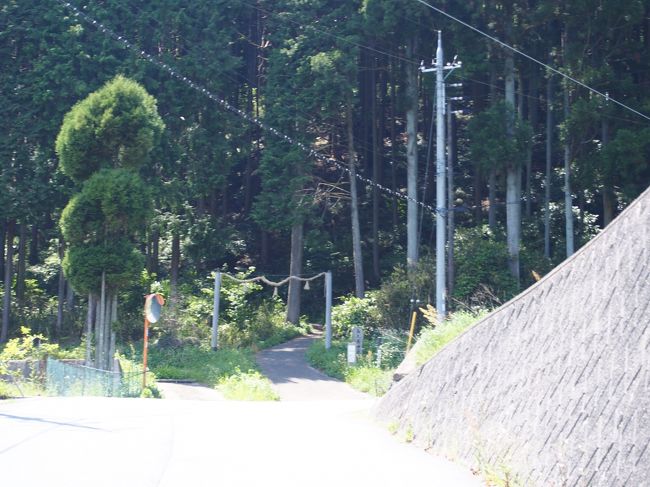 この暑さのなか、だらだら坂を目的地への案内図も見当たらないまま、どこが終着か分からない状況で歩くのは非常に精神的に辛かった・・・<br /><br />やっと鳥居っぽいのを見つけた時は嬉しかった〜！