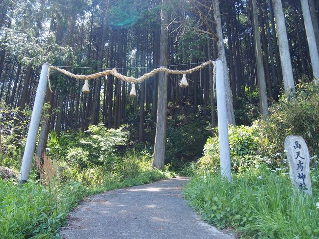山の辺の道を旅した時に見た、古い形式の鳥居に、高天彦神社への期待が膨らみます！