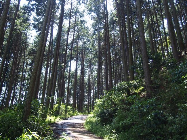 え<br /><br />この山道を登るの？？