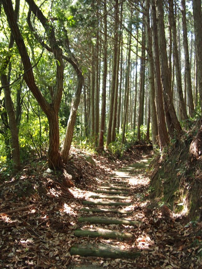 木陰があるので、気温的にはさっきよりも楽になったけど、傾斜が結構あるので体力的にはやっぱり辛い〜！