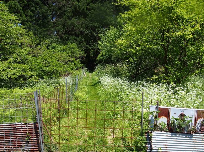 山道を歩くこと約20分。<br /><br />やったー！<br />出口だ！<br /><br />と思ったら、またも柵。<br /><br />ここ、通って良いんだよね・・・？<br />不安になる。