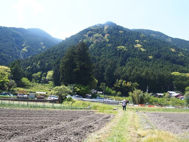 ん？<br /><br />神社はどこに？<br /><br />まだ歩くのかなぁ