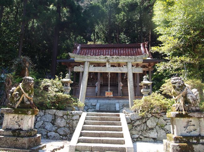 思っていたよりこじんまりしていますが、延喜式では最高の社格とされた名神大社（＝神々の中で特に古来より霊験が著しいとされる神に対する称号）なんだそうです！<br /><br />社殿後方の白雲峯が御神体。<br /><br />この付近は天上の神々が住んだ高天原の伝承地なんですって〜<br /><br />大変だったけど来れて良かった☆