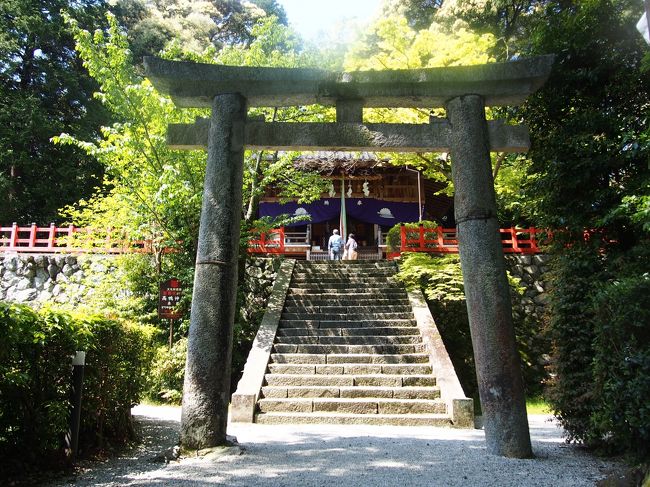 京都の賀茂神社（上賀茂神社・下鴨神社）を始めとする全国のカモ（鴨・賀茂・加茂）神社の総本社なんですよ！！