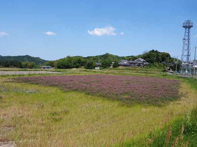 14:20<br /><br />バスの時間が14:31ですが、最後のスポットまで諦めずに頑張ります！