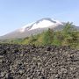 2015　北東北・函館の（葉）桜ツアー（2）八幡平から十和田湖・奥入瀬