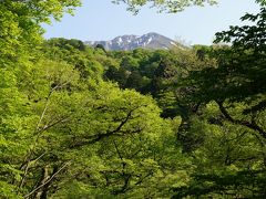 大神山神社奥宮へと続く参道沿い「金門」と書かれた看板につられ寄り道すると、木々の隙間から新緑の大山。
