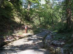 自然石を敷き詰めた700ｍの参道を歩きます。
ここは自然石の石畳の参道として日本一の長さを誇ります。