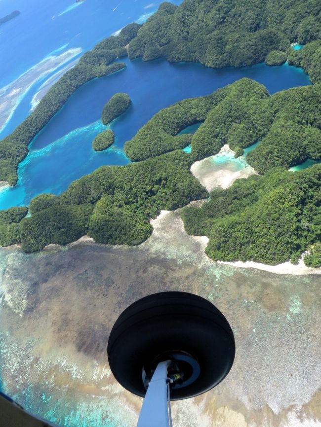 空からのパラオは絶景だった』パラオ(パラオ)の旅行記・ブログ 空からのパラオは絶景だった』パラオ(パラオ)の旅行記・ブログ