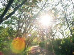 夕方キャンプ場に隣接する公園まで散策しました。近所の人が結構散策していました。