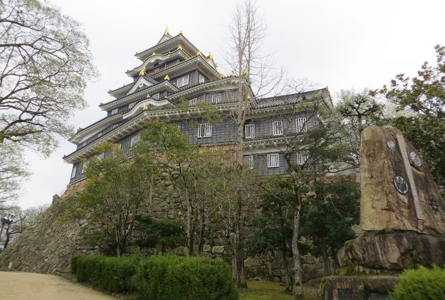 2015春、近畿・中国・四国の百名城巡り(27/38):4月4日(18):岡山城(3):後楽園、月見橋、紅八重枝垂