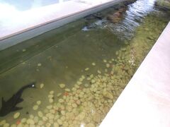 途中、暑いので、ジンバランコーナーでトイレ休憩をしました。
ここまで徒歩５分・・・。

エアコンもきいていて、快適でした。

ジンバランコーナーの中には大きな水槽がありまして、熱帯の魚たちが泳いでいます。


ジンバランコーナー周辺は、地図にのっていないコンビニやワルンが何軒かあって、旅行者には便利な場所だと思います。