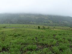 せっかくなので、三瓶山の西の原で車を停めて、放牧されている牛を写真に撮りました。ただ、かなり雨が降ってきたので、すぐに退散です。