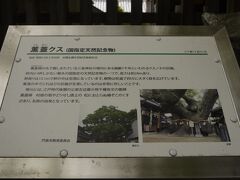 まずは門真南駅から三島神社へ。

薫蓋楠を拝見！