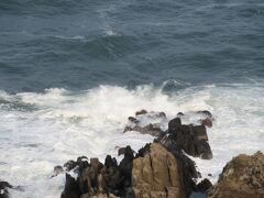 こんなところに飛び込んだらそりゃぁ・・・・・

さて、次の目的地に向かうとしましょうか。

蕎麦と魚を求めて旅した越前でしたが、美味しい味には出会えなかった替わりに素晴らしい桜に出会えました。



