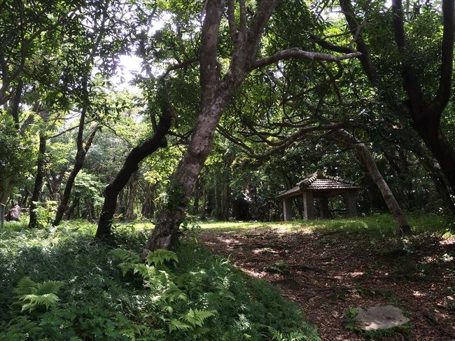 何も残っていませんでした。<br /><br />誰も居なかったので長居するのもちょっと怖そうに感じました。