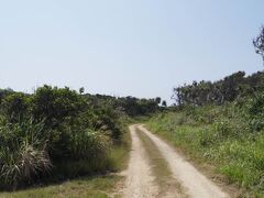 到着後は港そばの食事屋さんで
レンタサイクルを借りて帰りの
フェリー出発までマッタリしよぉ〜
（レンタサイクル：3時間950円なり）