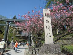 さらに車で10分進んで、榛名神社にやってきました。
榛名湖畔の山桜はＧＷ頃が見ごろらしく、きれいに咲いています。