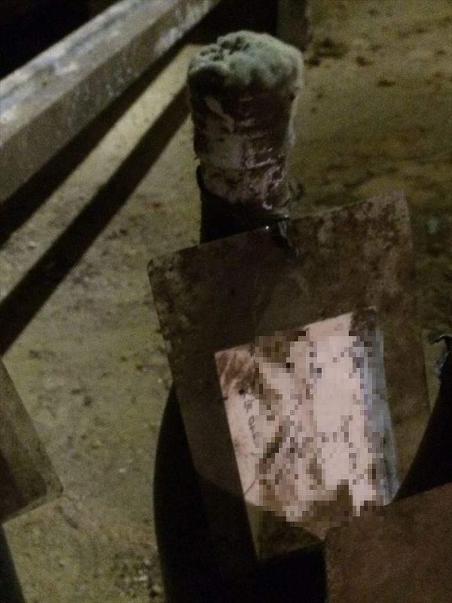 何年物かわかりませんが物凄いカビです。