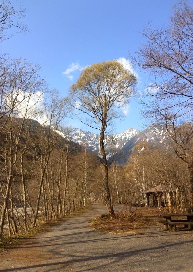 また同じ道を歩いて<br /><br />戻ります〜