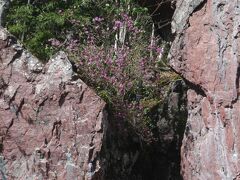 赤岩青巌峡

　札幌から高速道路に乗ってしまえば、帯広までは3時間程度ですが、特に急いで向かう理由もないので、下を行くことにします。

　「下」ということは、自動車道は「上」なのか。
　日勝峠を通る国道274号は、道東道より「上」に位置しているんだけどなあ。

　占冠ICから十勝清水までは特に難工事だったようなので、せっかくだからそこだけ「乗って」みることにします。
　ということで、走り馴染んだ国道274号線を離れて未知の道道610号に侵入。

　じつに堂々とした道道で、とちゅう赤岩青巌（あかいわせいがん）峡という急峻な渓に遭遇しました。
　
　