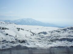 弥陀ヶ原高原付近。
まんで真冬みたいな雪原です。
