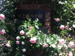 「中之島バラ園」と見えてそういえばバラ園あったなぁと思い出し、通って行きます。