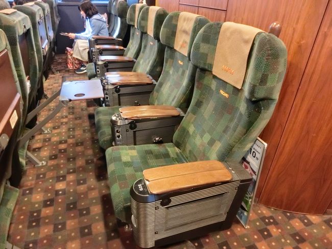 グリーン席も確保できました。