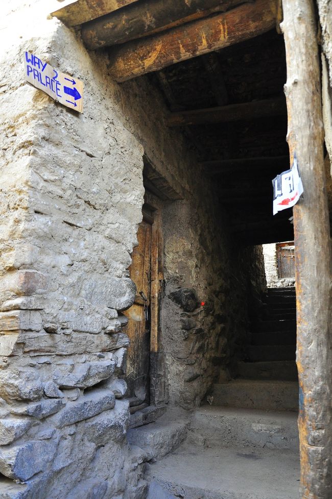 徐々に道なき道になり、頼りない標識を目安に歩きます。