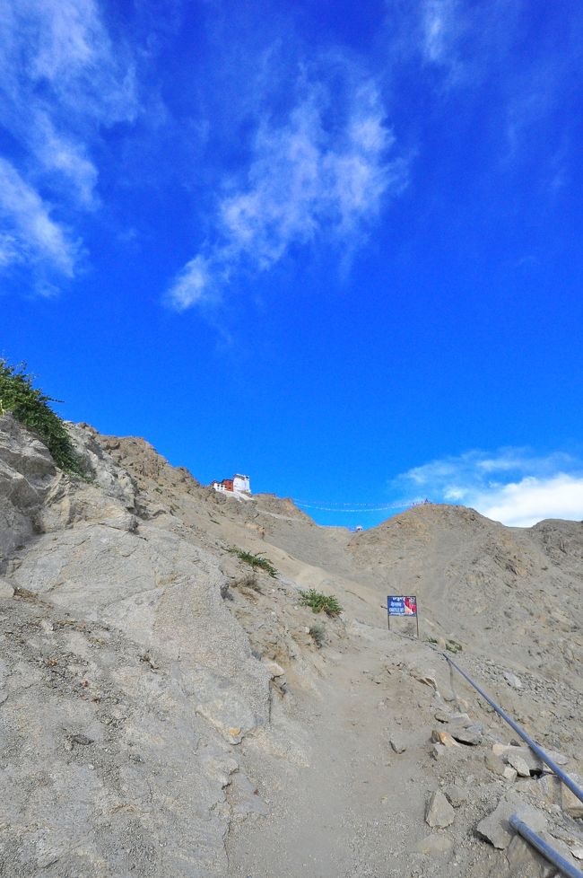 王宮を出ると、遙か上にナムギャル・ツェモ・ゴンパがあります。<br />水を飲みまくりながら登ります。