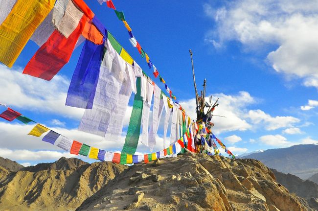 振り返ってぱちり。