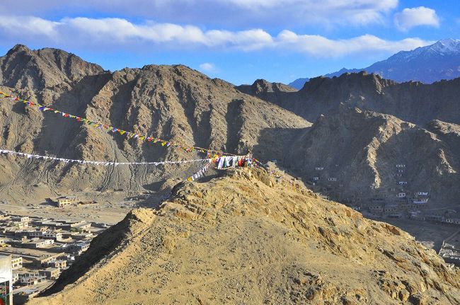 先ほどの撮影ポイントを見下ろした景色です。