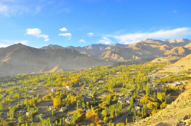 日が沈んできて、紅葉したポプラと合わさり徐々に黄金色に変わってきました。