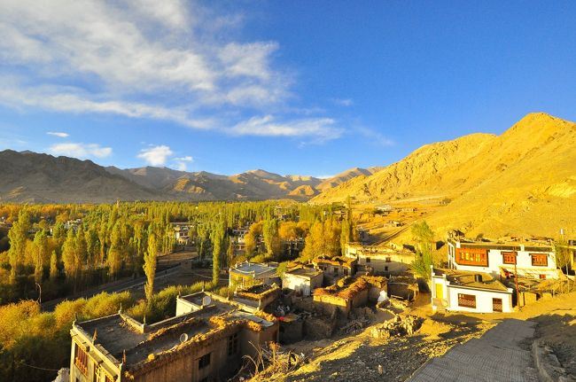 黄金色に輝く街並み。