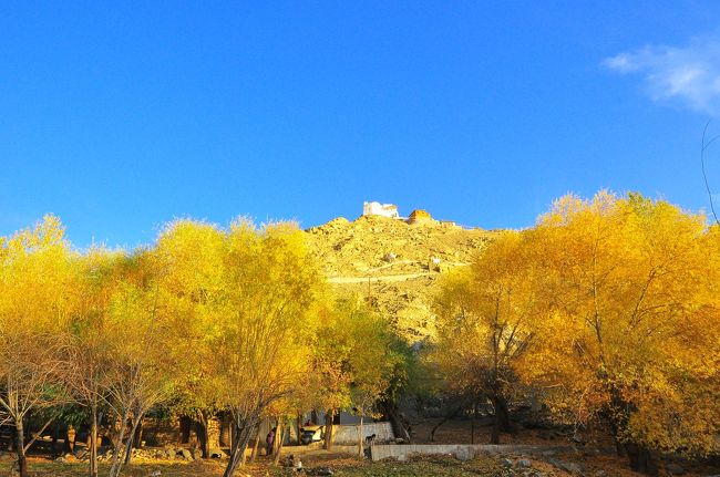 下からゴンパを見る。