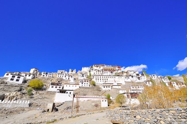 上の方までバイクで行けますが、ここは歩いて登ってみたい。